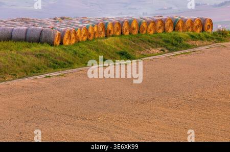 Les balles de foin récoltées dans les champs de blé sont soigneusement disposées sur une pente herbeuse à côté d'un champ agricole labouré dans la campagne toscane, en Italie. Banque D'Images