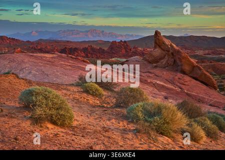 Formations de grès rouge et végétation du désert au coucher du soleil dans le paysage accidenté du Nevada Banque D'Images