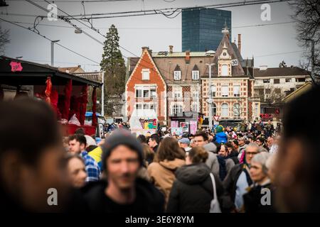 Bâle, Suisse - 10 mars 2025 : vue sur Fasnacht animé avec masques et costumes vifs au milieu des bâtiments historiques, une tapisserie vibrante contre le Banque D'Images