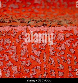 Une vue rapprochée de la peinture orange éclatante révèle les couches texturées en dessous, une étude de la désintégration et du contraste des couleurs, Dronten, Flevoland, Neth Banque D'Images