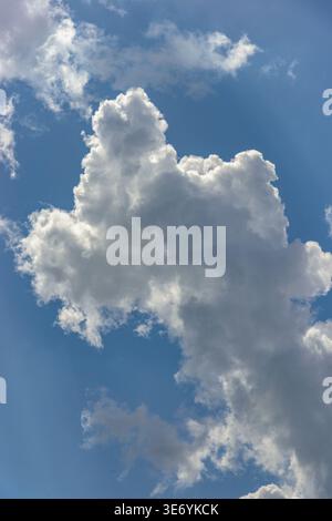 Cumulus nuages blancs bofies imposants dans un fond de ciel bleu clair. Banque D'Images