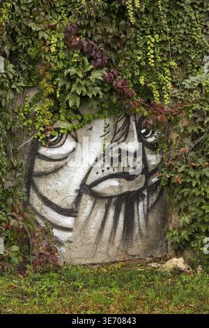 Le Graffiti d'un visage sur le mur d'un rocher qui ressemble à un chat triste à Budapest, Hongrie Banque D'Images