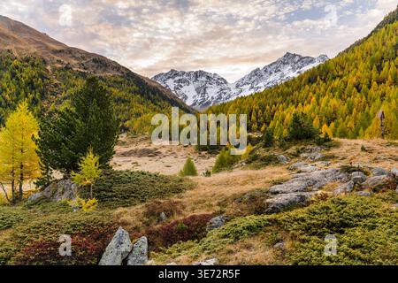 Piz Paradisin, Alpe Vago, Livigno, Lombardie, Italie Banque D'Images