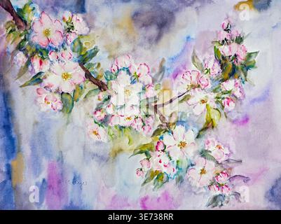 Aquarelle par Heidemarie Mayer, branche de fleur, fleur de pomme, branche de fleur de pomme, fleurs, bourgeons, branche Banque D'Images