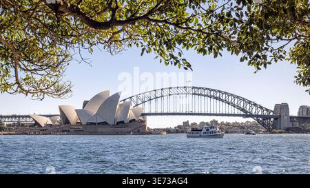 Opéra de Sydney et Harbour Bridge. Sydney, Nouvelle-Galles du Sud, Australie. Banque D'Images