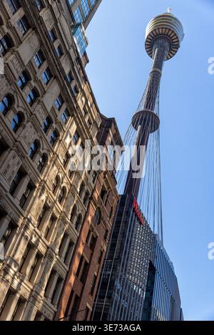 Sydney Tower Eye. Sydney, Nouvelle-Galles du Sud, Australie. Banque D'Images
