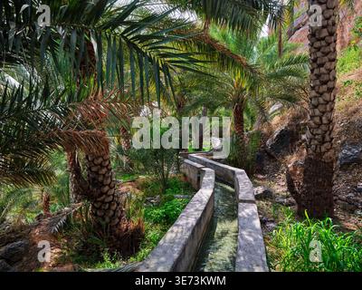 Une promenade dans le village historique de Misfat al Abriyyin, Oman Banque D'Images