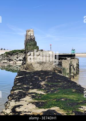 The Old Pier, un brise-lames en béton et en bois à l'embouchure de la rivière Rother dans la réserve naturelle de Rye Harbour, Sussex, Royaume-Uni Banque D'Images