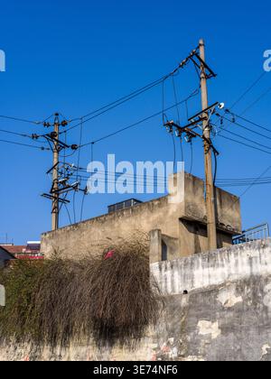 Deux poteaux électriques en béton transportant des fils électriques chaotiques se tiennent derrière un vieux mur altéré drapé d'épaisses vignes rampantes séchées sous un b lumineux Banque D'Images