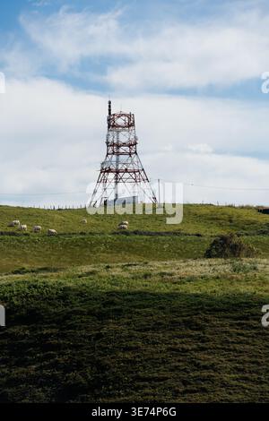 Une grande tour de communication se dresse au sommet d'une colline herbeuse sous un ciel partiellement nuageux, avec des moutons qui paissent à proximité. Le paysage est luxuriant et vert. Banque D'Images