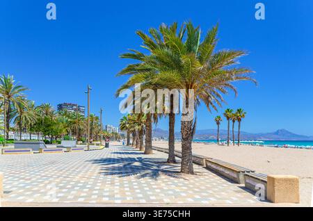 Promenade en quai avec des palmiers et des bancs, plage Playa de San Juan dans la ville d'Alicante, plage de sable de la côte de la mer Méditerranée dans la journée ensoleillée d'été Banque D'Images