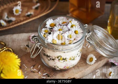 Préparation de sirop à base de plantes à partir de fleurs de marguerites communes et de sucre dans un bocal en verre au printemps Banque D'Images