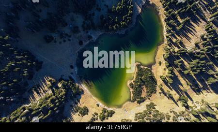 Vue aérienne du lac Sackwiesensee en forme de cœur à Hochschwab Banque D'Images