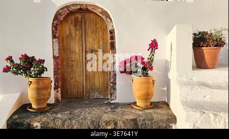 Porte en bois rustique ensoleillée sertie dans un mur en stuc blanc, encadrée par une arche en pierre et flanquée de pots en terre cuite avec fleurs roses en fleurs Banque D'Images