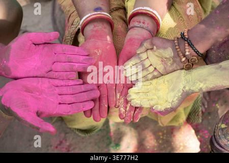 Amis montrant des palmiers couverts de couleurs vives Holi, célébrant la joie, l'unité et l'esprit vibrant du festival. Banque D'Images