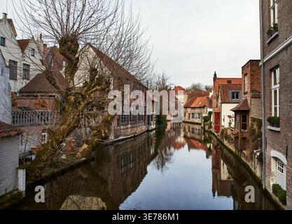 Canal serein dans la ville belge historique de Bruges. Les maisons médiévales en briques avec des pignons reflètent dans l'eau calme transmet les concepts de l'architecture patrimoniale Banque D'Images