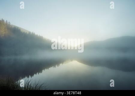 Brouillard éthéré sur la surface du lac de montagne à l'aube, lac Prebersee, Autriche Banque D'Images