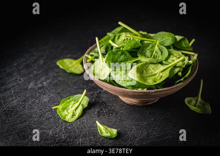Feuilles d'épinards frais sur boel foncé sur fond noir. Nourriture végétalienne saine. Banque D'Images