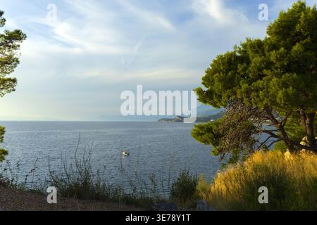 Vue sur la mer Adriatique avec des pins et la côte. Paysage méditerranéen naturel. Banque D'Images