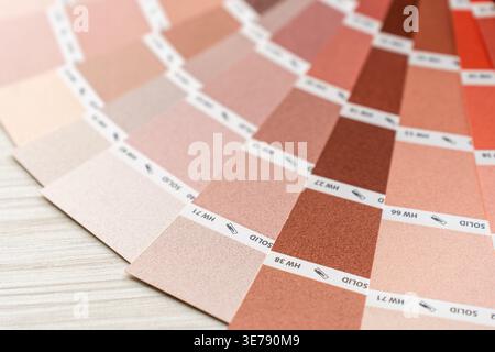 Une vue détaillée affiche une collection de nuances de couleurs, principalement dans des tons roses et beiges doux. Ces échantillons de peinture présentent une subtl Banque D'Images