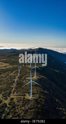 Vue aérienne de Madère, parc éolien de crête du Portugal, de grandes turbines blanches bordent une piste sinueuse au-dessus des nuages. La lumière du jour claire révèle un gommage vert, un avant foncé Banque D'Images