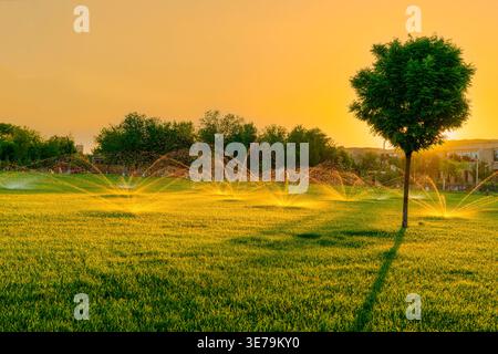 Turkestan, Kazakhstan - 03 juin 2025 : vue panoramique tôt le matin du lever du soleil de gicleurs automatiques arrosant la pelouse verte dans le parc de l'historique Banque D'Images