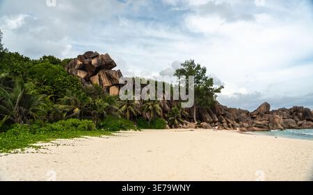 Les falaises de granit s'élèvent au-dessus des palmiers sur la plage de l'île de la Digue aux Seychelles. Le rivage sablonneux rencontre une végétation tropicale dense et une forme rocheuse sculptée Banque D'Images