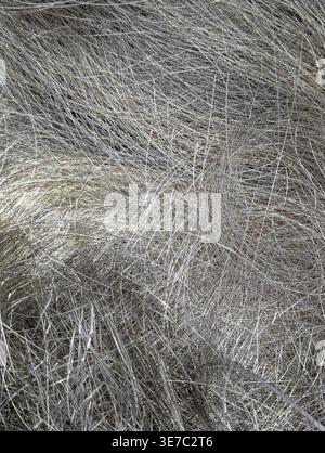 Gros plan de fibres grises et argentées enchevêtrées, présentant un motif abstrait détaillé de fines mèches et de textures douces adaptées à une utilisation en arrière-plan Banque D'Images