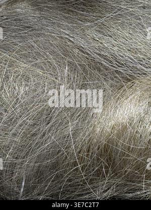 Une macro photographie détaillée montrant la texture complexe de fourrure animale grise et argentée ou de fibres de cheveux synthétiques, créant un motif abstrait Banque D'Images