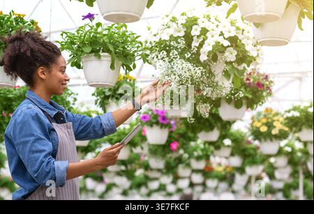 Femme noire portant tablier avec tablette regardant les fleurs tout en se tenant dans la serre Banque D'Images