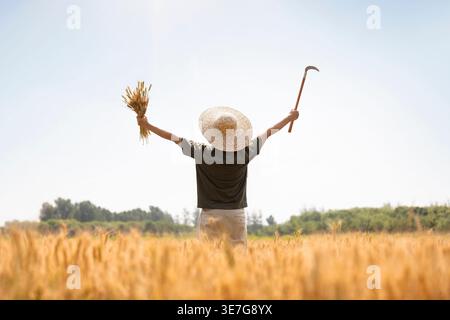 Fermier chinois levant les mains tenant les tiges de blé et la faucille debout dans le champ pendant la journée Banque D'Images