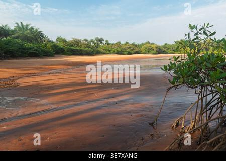 Plage isolée de sable rouge bordée de forêt tropicale à marée basse sur l'île de Bubaque, archipel des Bijagos, Guinée Bissau. Banque D'Images