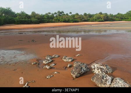 Plage isolée de sable rouge bordée de forêt tropicale à marée basse sur l'île de Bubaque, archipel des Bijagos, Guinée Bissau. Banque D'Images