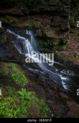 Une cascade sereine coule sur des rochers couverts de mousse dans un cadre boisé ombragé à Cragside, créant une scène naturelle tranquille Banque D'Images
