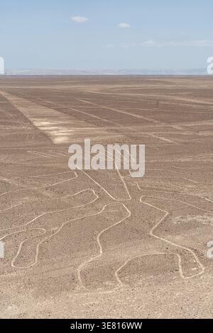 Les lignes de Nazca, créées par les peuples pré-inca, sont vues dans le désert aride le long de la côte péruvienne le 10 mars 2026. (Photo de Emanuele Roberto de Carli/NurPhoto)0 Banque D'Images