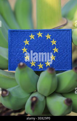 Drapeau de l'Union européenne sur la grappe de bananes sous la lumière tropicale du soleil, symbolisant l'agriculture durable et le concept de coopération commerciale mondiale. Banque D'Images