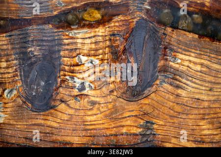 Les taches de rouille se répandent sur le grain de bois altéré. Les taches sombres contrastent avec les tons chauds et blanchis par le soleil. La texture parle d'âge, de négligence et de pourriture naturelle. Banque D'Images