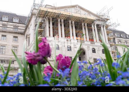 Façade de la Banque d'Angleterre avec échafaudage et fleurs printanières en premier plan, Threadneedle Street, ville de Londres, Angleterre, avril 2026 Banque D'Images