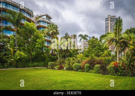 Magnifique parc de la ville avec des plantes vertes ornementales et de nouveaux appartements de luxe modernes en arrière-plan, Monte Carlo, Monaco, Europe Banque D'Images
