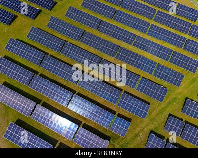 Des rangées de panneaux solaires couvrent un champ, capturant la lumière du soleil pour générer de l'électricité. Les panneaux réfléchissent la lumière lorsqu'ils sont positionnés sur l'herbe verte ci-dessous. Banque D'Images