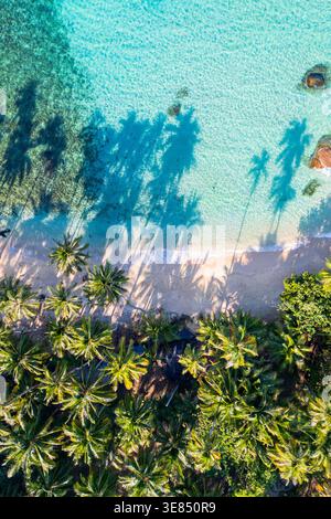Vue aérienne drone de la plage tropicale avec eau turquoise, sable blanc, palmiers et longues ombres par une journée ensoleillée. Banque D'Images