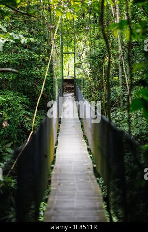Passerelle étroite de pont suspendu menant à travers la forêt tropicale dense, le feuillage vert luxuriant, la perspective de point de fuite, l'aventure de voyage et l'écologie Banque D'Images