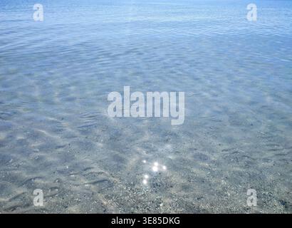 Eau transparente propre sur le littoral sablonneux peu profond avec des coquillages avec des coquillages sur la journée ensoleillée d'été. Éblouissement du soleil sur la surface de l'eau. Petites vagues sur la côte de la mer. Nature en toile de fond. Arrière-plan naturel Banque D'Images
