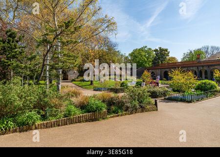LONDRES, Royaume-Uni - 08 AVRIL 2026 : Holland Park avec ses plantes colorées, ses arbustes et ses plans d'eau, est populaire auprès des Londoniens et des touristes. Banque D'Images