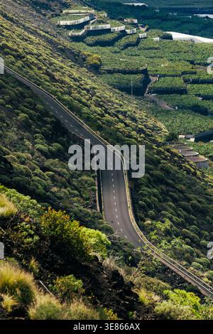Route de montagne courbe coupe à travers des plantations de bananes luxuriantes et des terres agricoles en terrasses sur l'île de la Palma, îles Canaries, Espagne, avec des pentes spectaculaires et R Banque D'Images