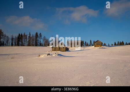 Scène hivernale tranquille en Finlande avec des champs enneigés, des granges en bois rustiques et une ligne de pins sous un ciel bleu clair, capturant le calme rural et Banque D'Images