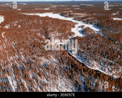 Paysage hivernal aérien en Finlande avec une rivière sombre sinueuse coupant à travers la forêt boréale enneigée. Pins et épicéas denses, bancs gelés et clairs Banque D'Images