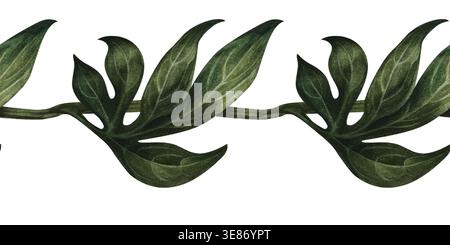 Bordure sans couture de branches de feuilles de pivoine isolées sur blanc. Verdure botanique aquarellée avec texture naturelle douce pour compositions florales, mariage Banque D'Images