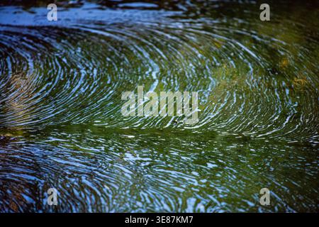 Les ondulations dansent sur une surface d'eau calme et teintée de vert. La lumière du soleil scintille à travers les feuilles, créant des motifs chatoyants. Les ondulations coulent doucement, les sucres Banque D'Images