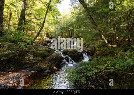 Ruisseau forestier coulant sur des rochers créant de petites cascades dans le Michigan Banque D'Images